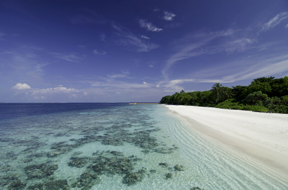A dream on the Maldives: Amilla Fushi Maldives 9