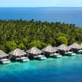 Ein spektakulärer grüner Fleck: Das Dusit Thani x Maldives