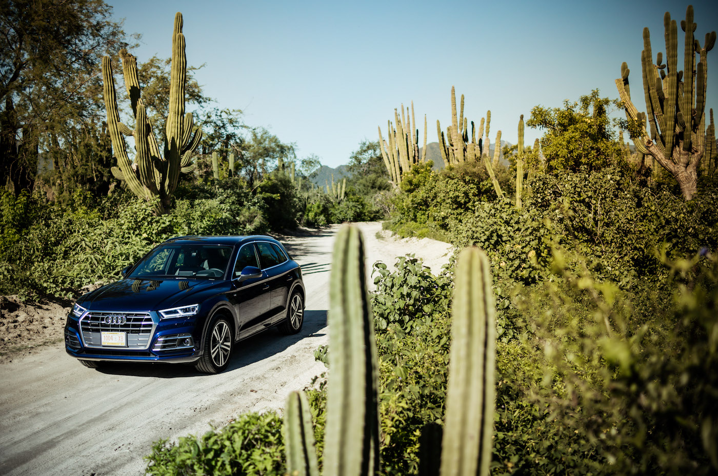 Der neue Audi Q5: Erste Probefahrt unter der mexikanischen Sonne 3
