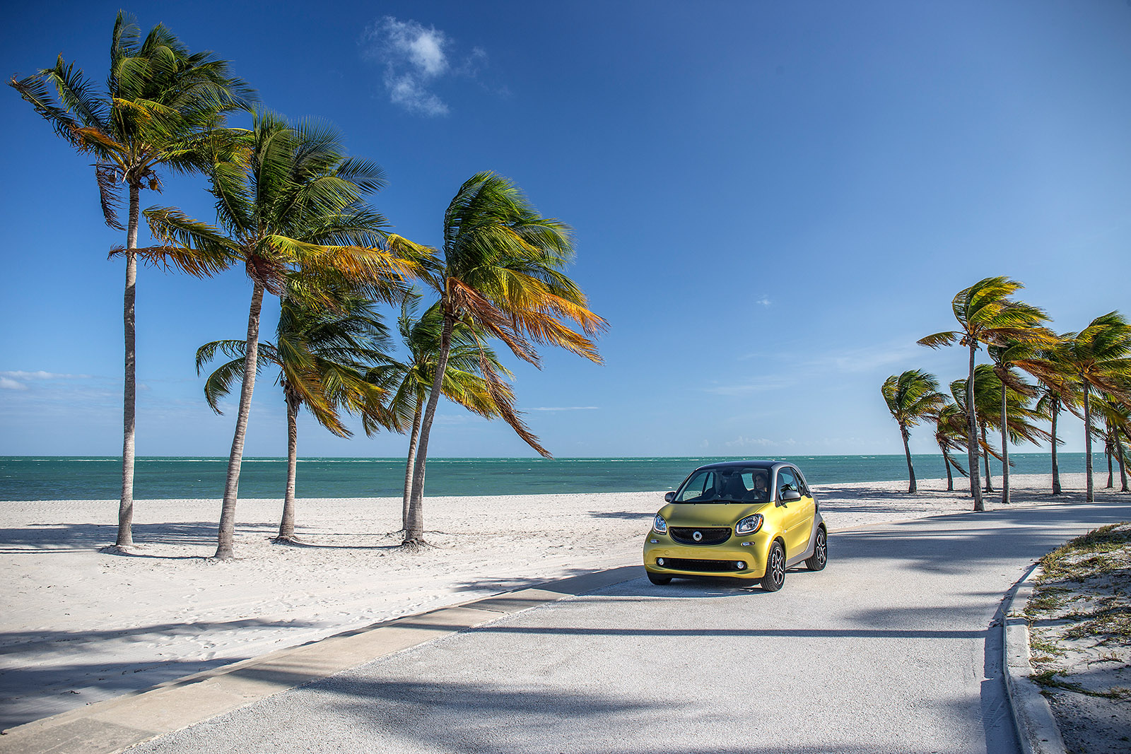 Emissionsfrei durch Miami im neuen Smart Electric Drive 13