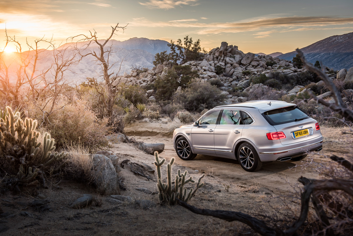 Life With The Fastest SUV. The Bentley Bentayga 16