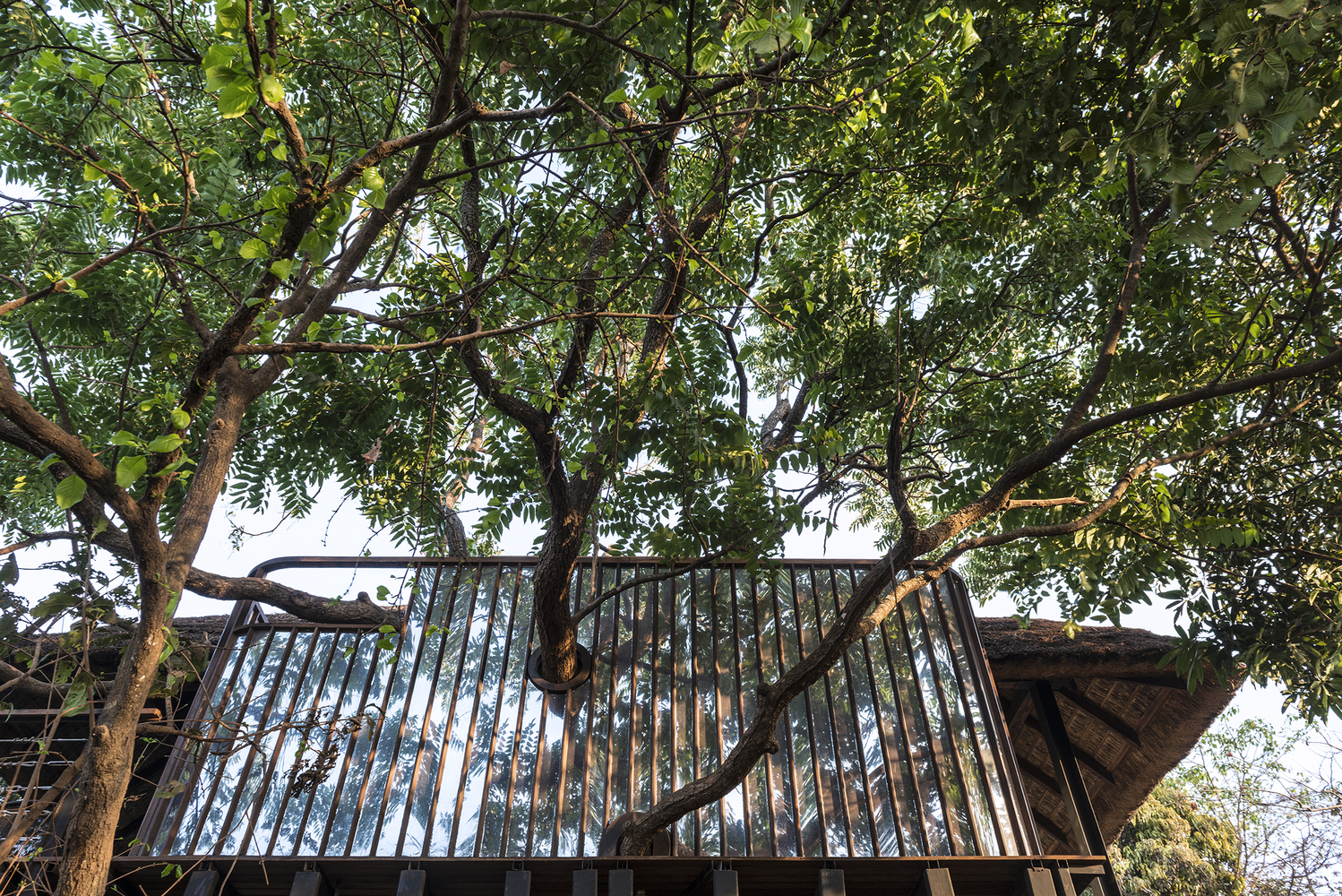 Ein Baumhaus der besonderen Art: Das GLASS HOUSE im Tala Treesort 10