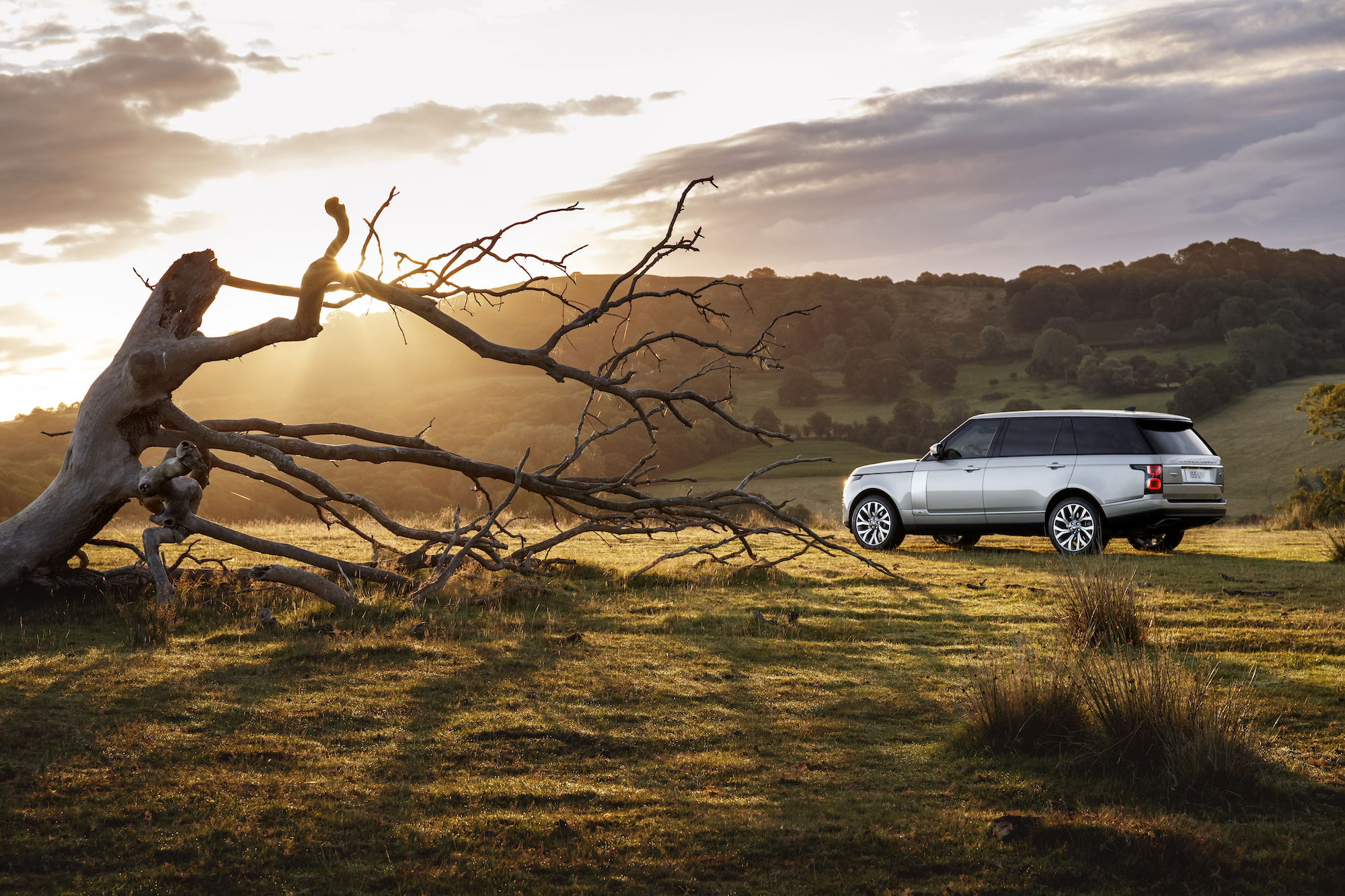 Lautloser Luxus: Der neue Range Rover als Plug-In Hybrid 1