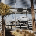 Instagram-Fotos löschen gegen Gratis-Flüge für ein Jahr? – Fluggesellschaft veranstaltet ungewöhnliches Gewinnspiel