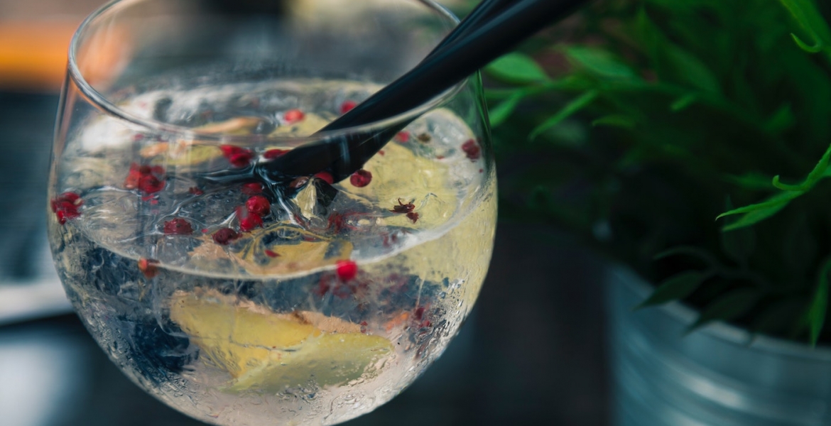 Good News: Gin & Tonic Helps to Avert Mosquitoes